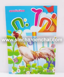 สมุดระบายสี+คัด กขค 10 บาท (10 โหลๆ ละ 43)